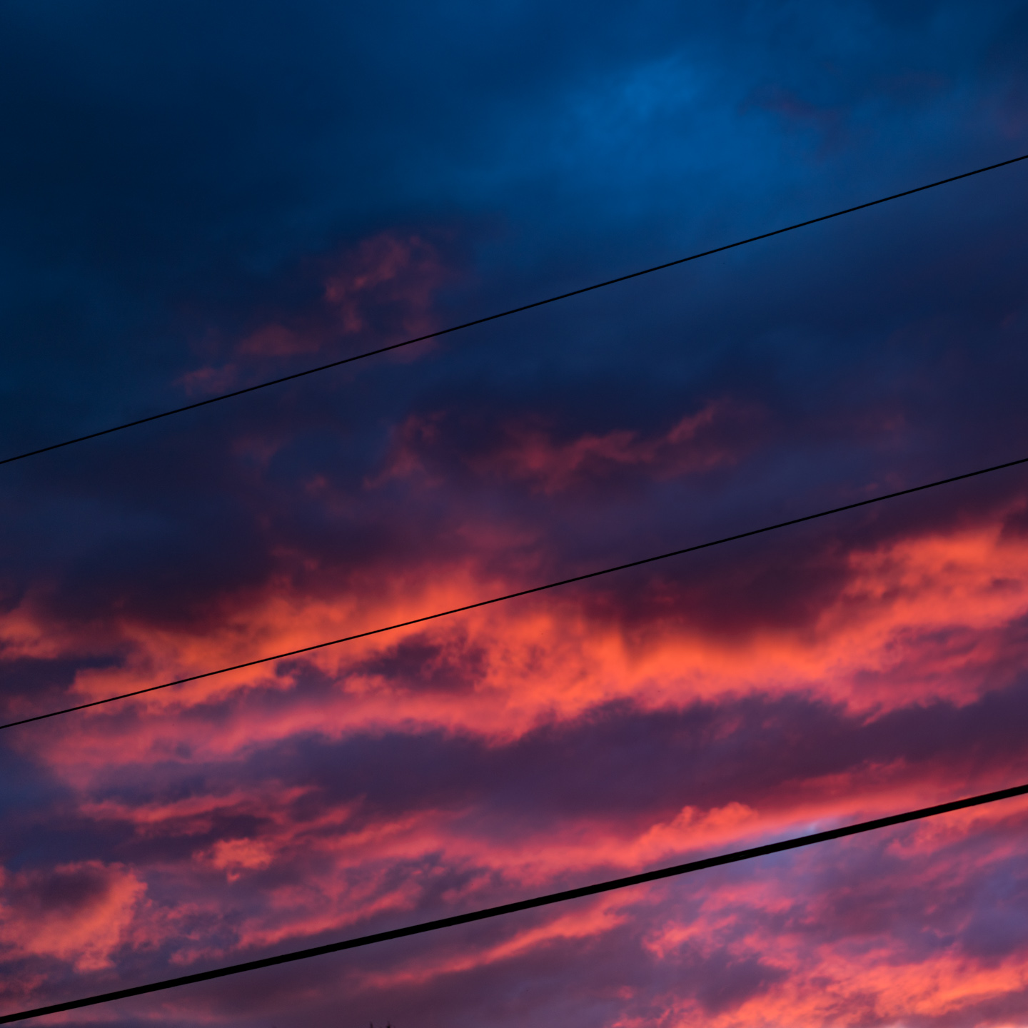 Friday Mixtape 315