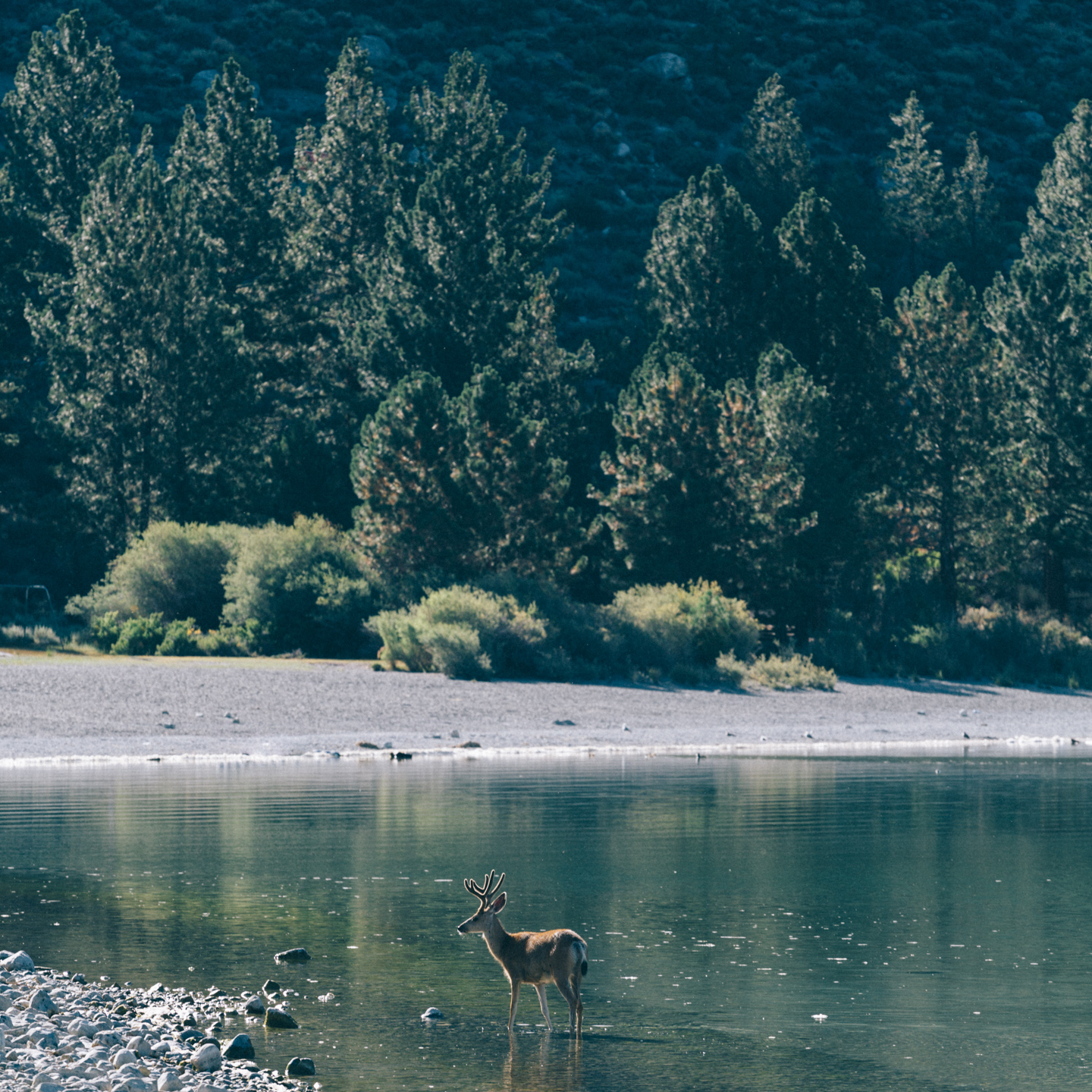 Friday Mixtape 319