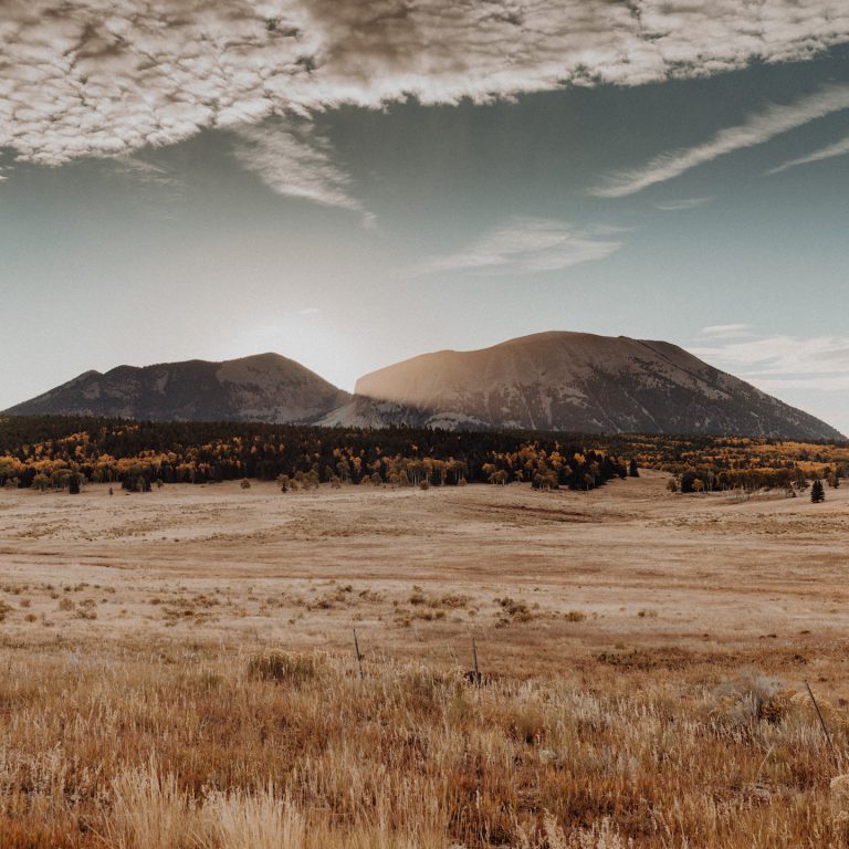 Friday Mixtape 339 – by @TheLastMinute