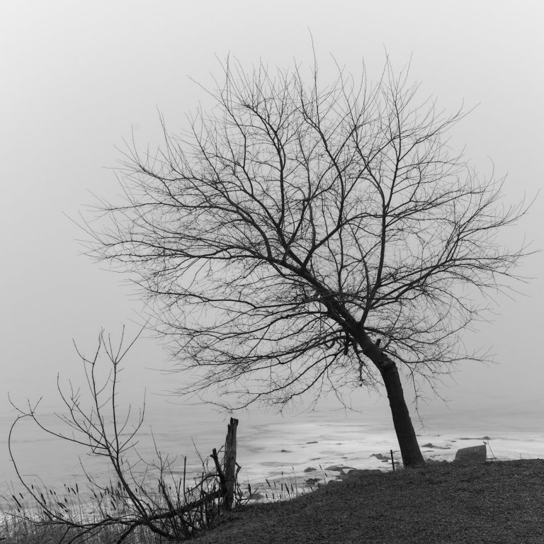 Friday Mixtape 363 – by @TheLastMinute