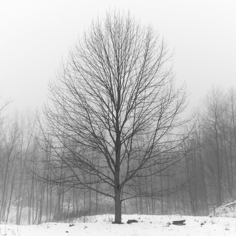 Friday Mixtape 368 – by @TheLastMinute